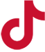 Tiktok Icon