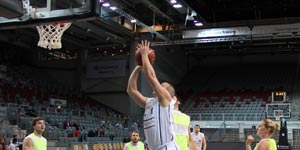 Bamberg Baskets